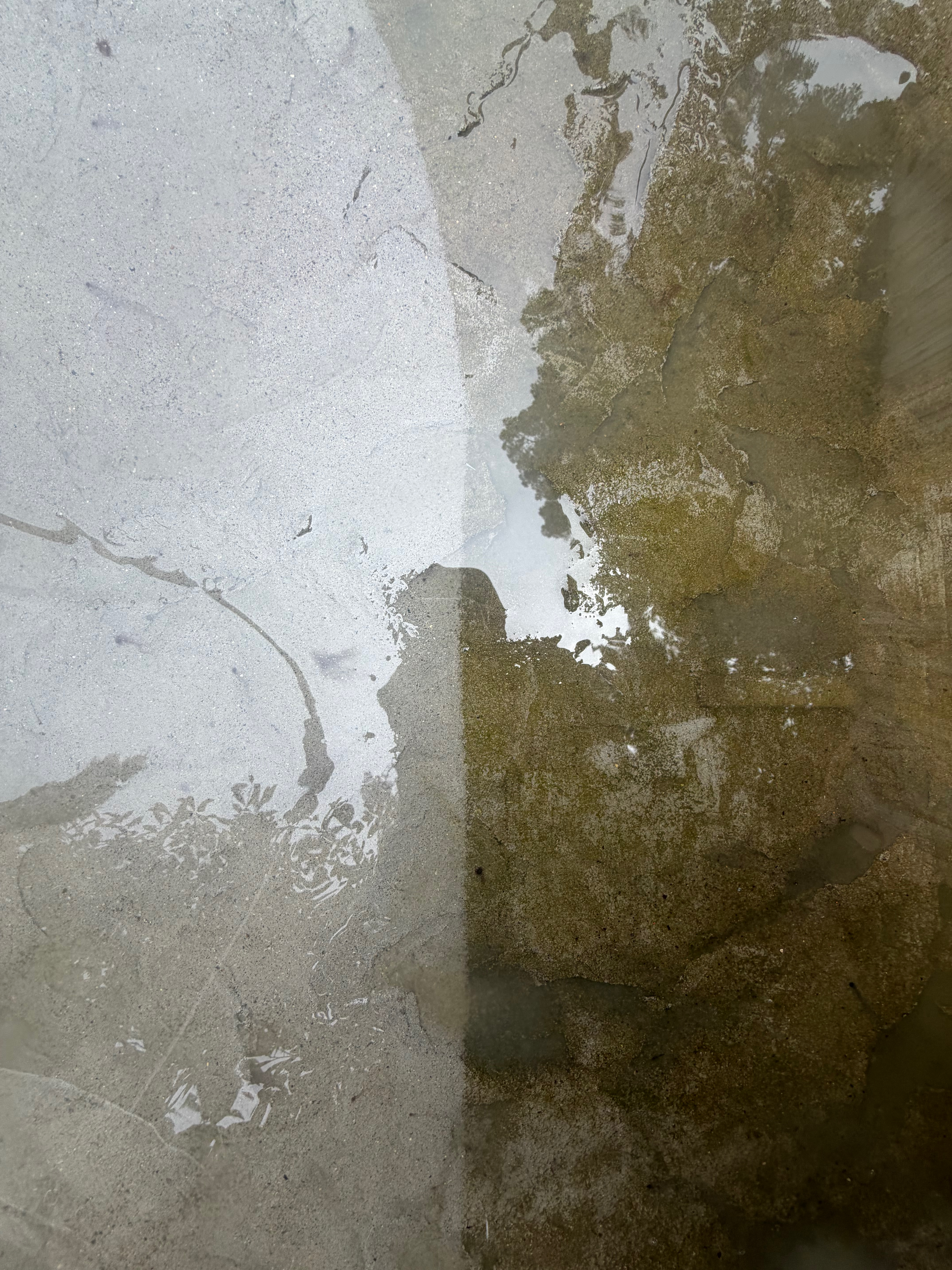 Willoughby Washing pressure washing a driveway